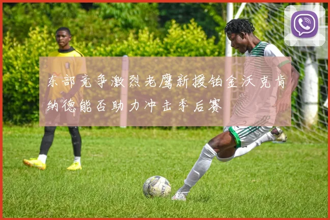 东部竞争激烈老鹰新援铂金沃克肯纳德能否助力冲击季后赛