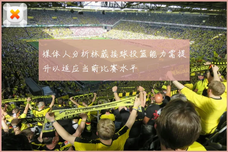 媒体人分析林葳接球投篮能力需提升以适应当前比赛水平